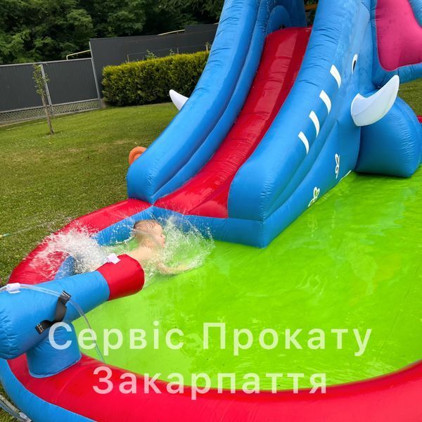 Inflatable Trampoline 💦&ldquo;Elephant&rdquo;🐘